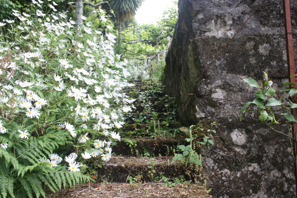 Quinta Das Leiras Santo Tirso Exteriör bild