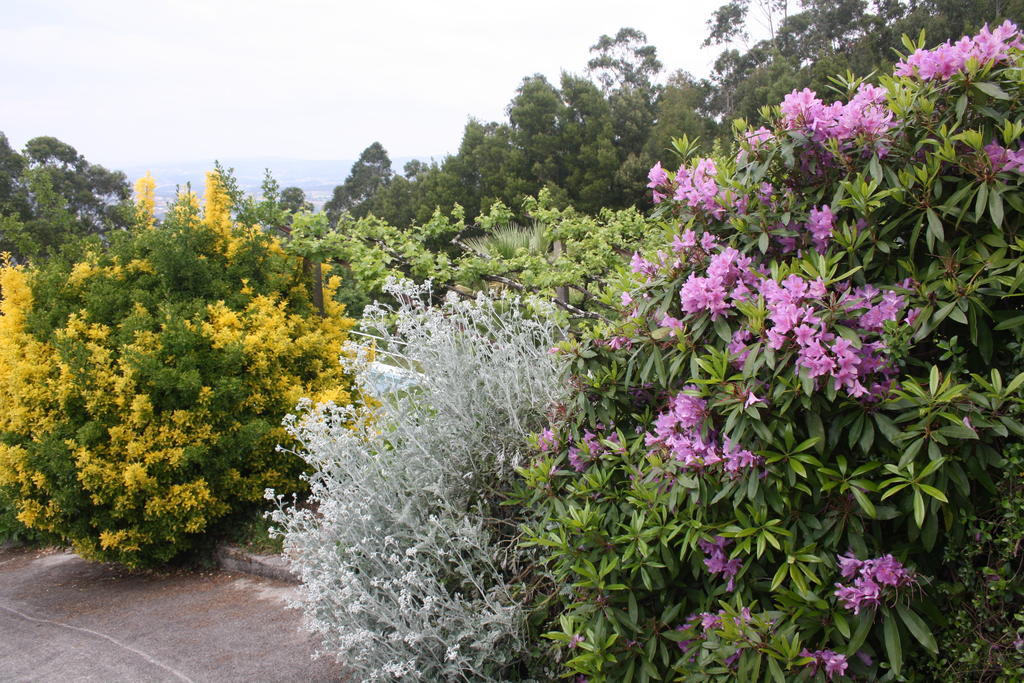 Quinta Das Leiras Santo Tirso Exteriör bild