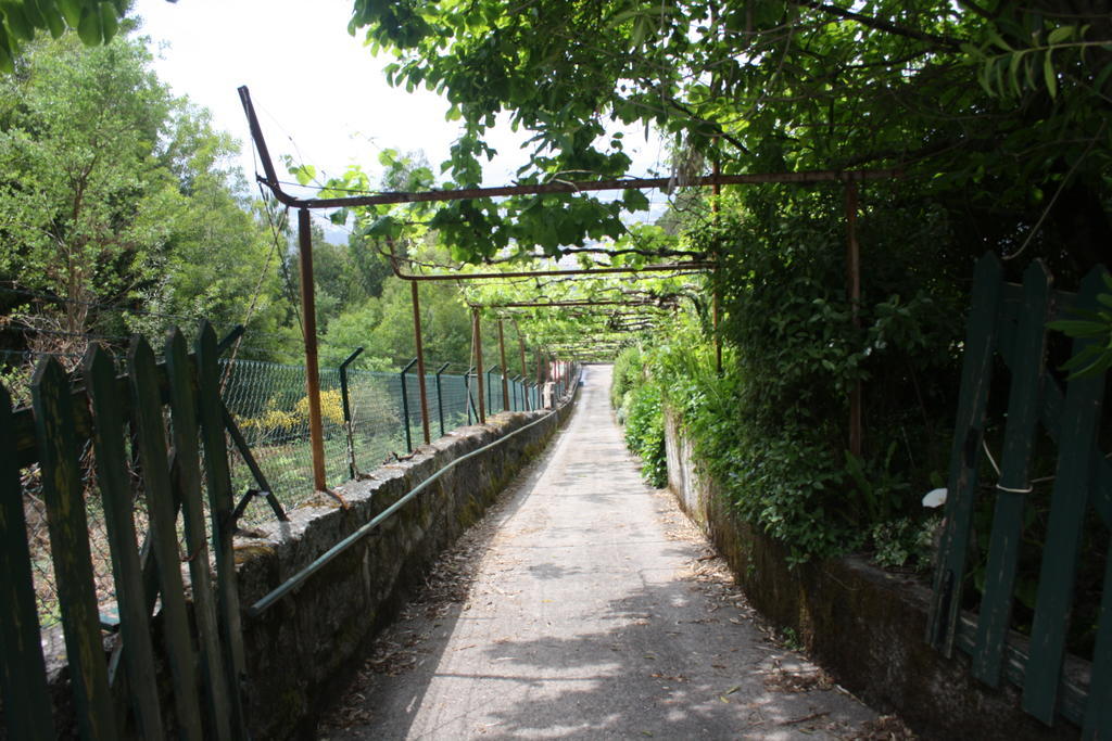 Quinta Das Leiras Santo Tirso Exteriör bild