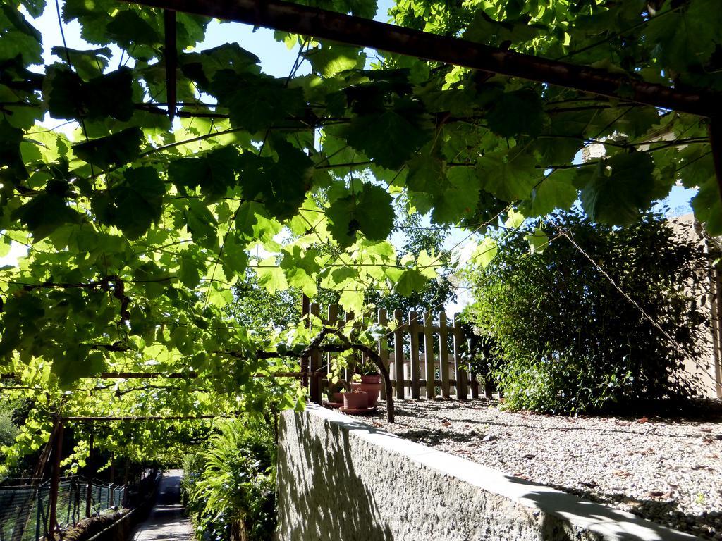 Quinta Das Leiras Santo Tirso Exteriör bild